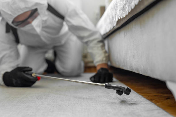 Professional Bed Bug Control technician working in North Boston, NY