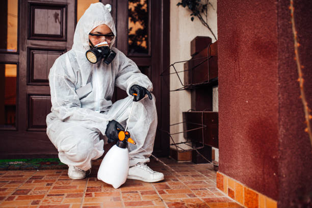 Reliable Bed Bug Control contractor in North Boston, NY by Nex Pest Control