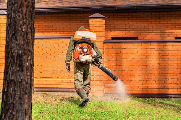 Trusted Bed Bug Control service in North Boston, NY - Nex Pest Control